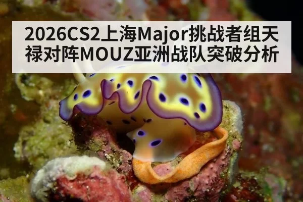 2026CS2上海Major挑战者组天禄对阵MOUZ亚洲战队突破分析